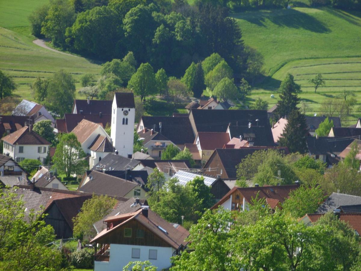 Ferienwohnung Schmotzle Uberlingen Dış mekan fotoğraf